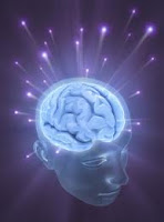 El cerebro