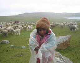 Descripci�n: http://4.bp.blogspot.com/-MJCSb1CTRds/TgWVqZvMORI/AAAAAAAAADo/wvoTz0_RZlA/s1600/nino_puno.jpg