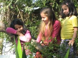 Descripci�n: E:\Danna\IMG_0602.jpg
