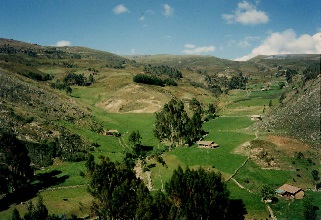 http://elclarin.pe/cajamarca/wp-content/uploads/2015/05/216.jpg