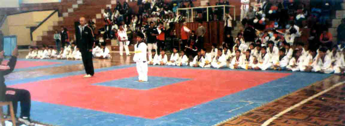 En esta panor�mica observamos a un integrante de la delegaci�n cajamarquina para dar inicio a su presentaci�n.