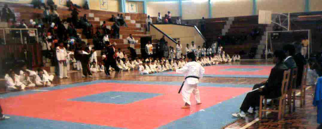 Esta panor�mica nos muestra a un luchador en su presentaci�n inicial ante el Jurado.