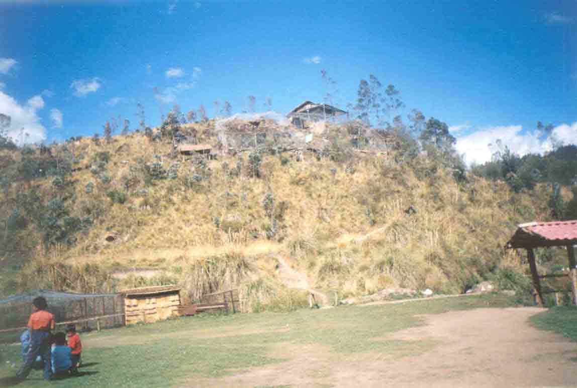 El monte de las aves, peque�a colina que alverga aves de distintas latitudes.