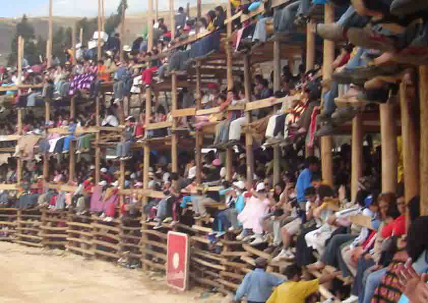 Fiesta de la Virgen del Carmen: El ruedo. Clend�n 2006 - Cortes�a de Jorge A. Silva Ch�vez "El Charro".